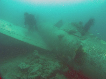 The fueslage and cockpit