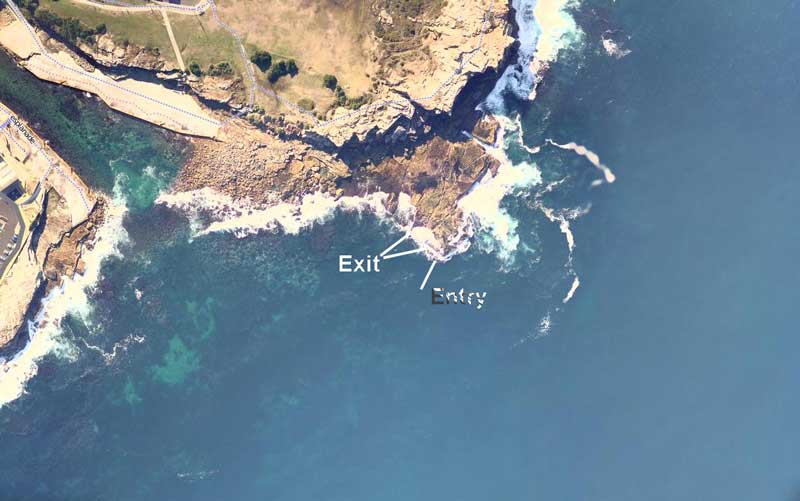 Shark Point