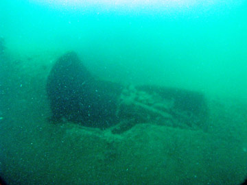 The dorsal gun
