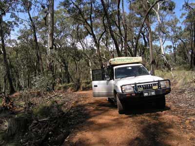 Abercrombie River NP