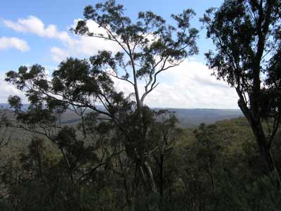Abercrombie River NP