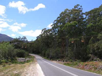 Aerial Skyway