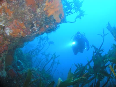 Annas Reef