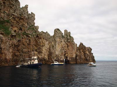 Annas Reef
