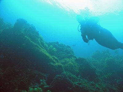 Annas Reef