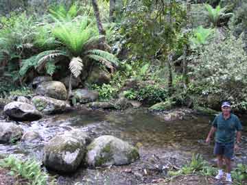 The Banksia Camping Area