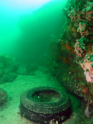 The Deep Wall