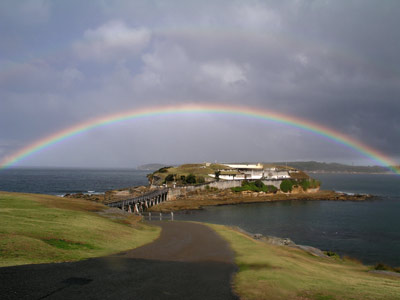 bare island