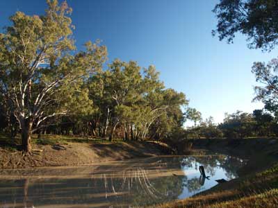 Barwon River