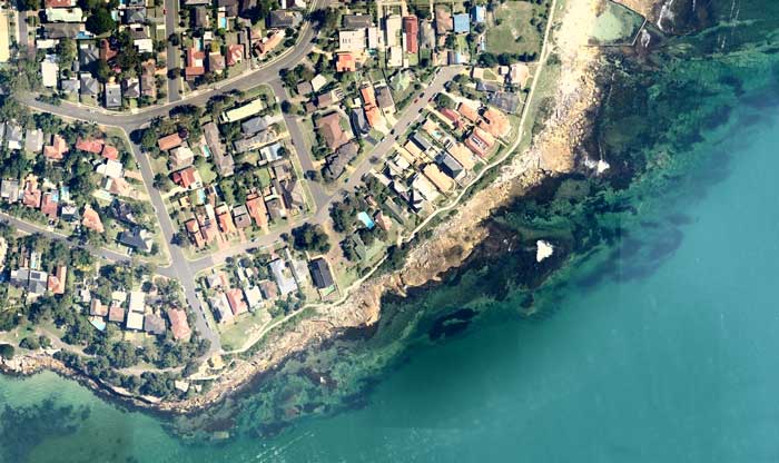 Bass and Flinders