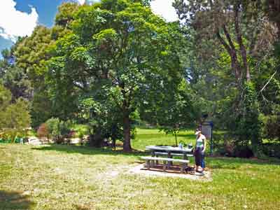 Reedy Creek Park, Batlow