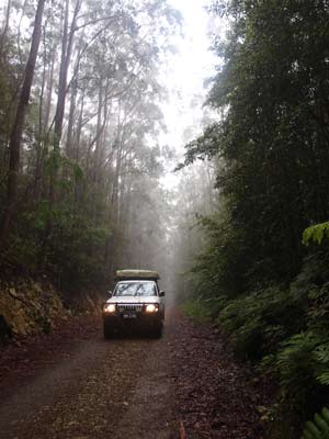 Cockerawombeeba Road