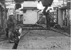 The Bellubera being salvaged