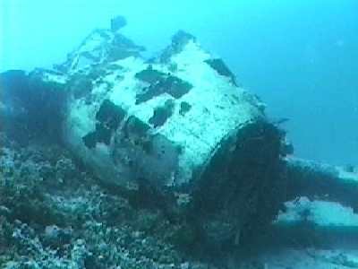 The nose of the Betty