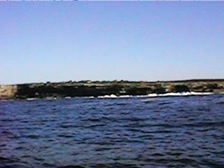 A photo of the coastline off Barrens Hut