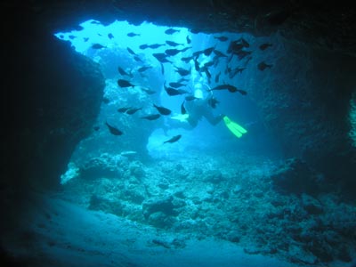 Blow Hole