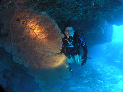 Blow Hole