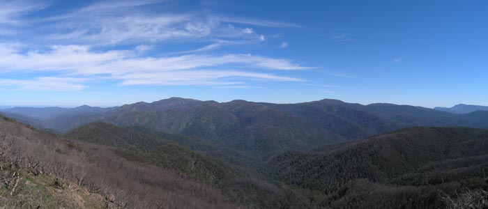 Bluff Hut View