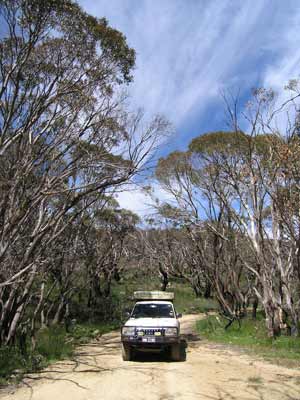 Bluff Road