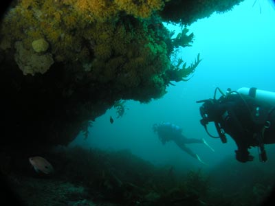 Boulder Point Cave