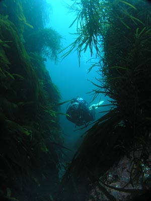 Boulder Point Crack