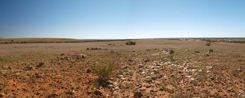 Bulloo Overflow