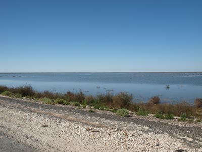 Bulloo Overflow
