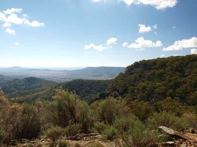 Bundella Lookout