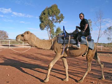Camel