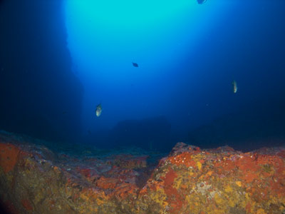 Cathedral Cave
