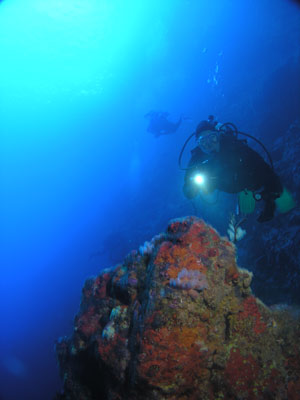 Cathedral Cave