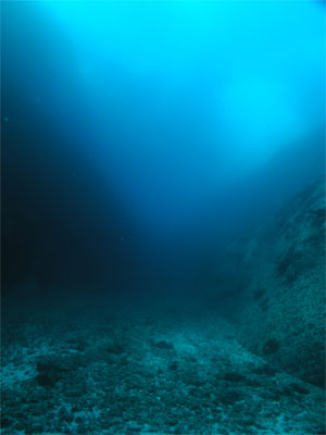 The channel