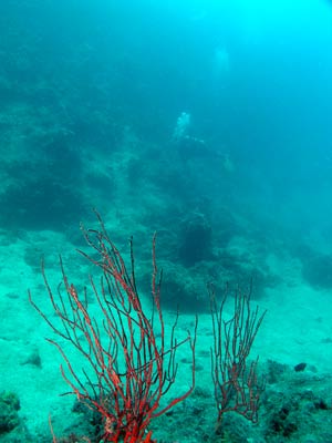 Chinamans Reef