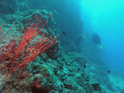 Chinamans Reef