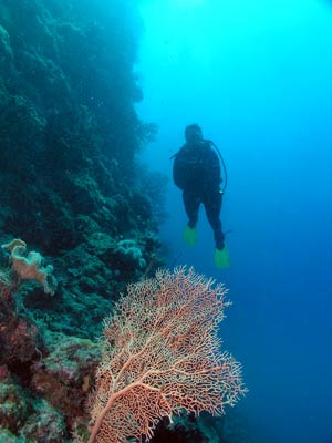 Chinamans Reef