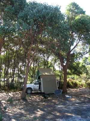 Cloudy Bay Camp Site