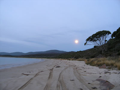 Cloudy Bay