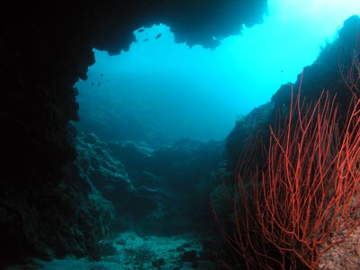 Cobalt Caves