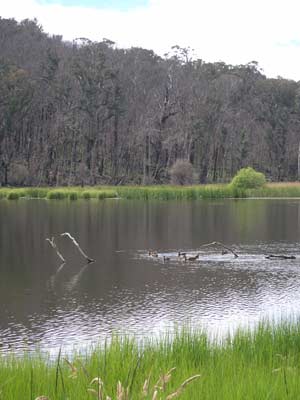 Cobblers Lake