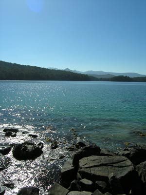 Cockle Creek