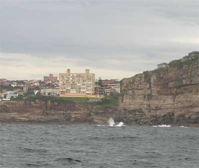 South West Mark
