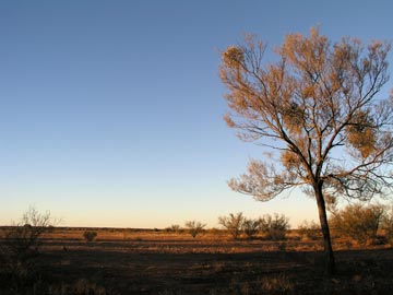 Coongra Creek