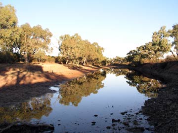 Coongra Creek