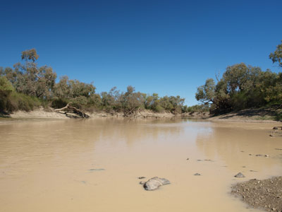 Cooper Creek