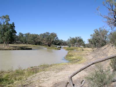 Cooper Creek