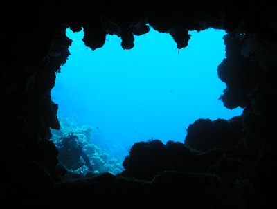 Coral Castles