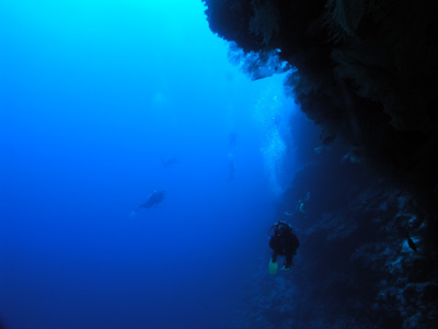 Coral Castles