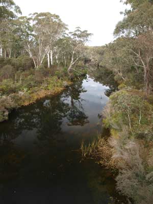 Corang River