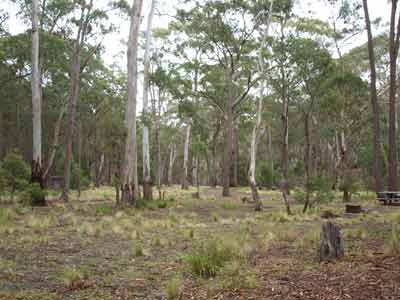 Coxs Creek Camping Area