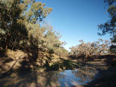 Culgoa River